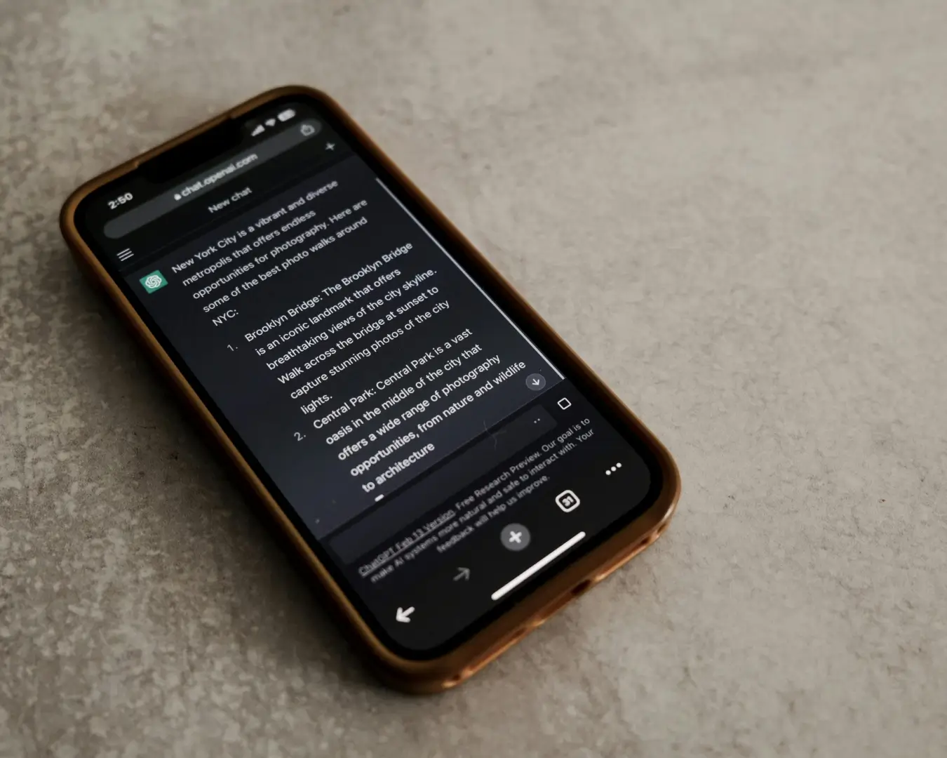 Descripción de producto para tienda en línea generada con ChatGPT