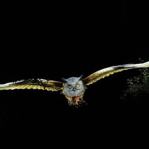 法尼亞自然公園：馬德里布里拉法尼亞門票