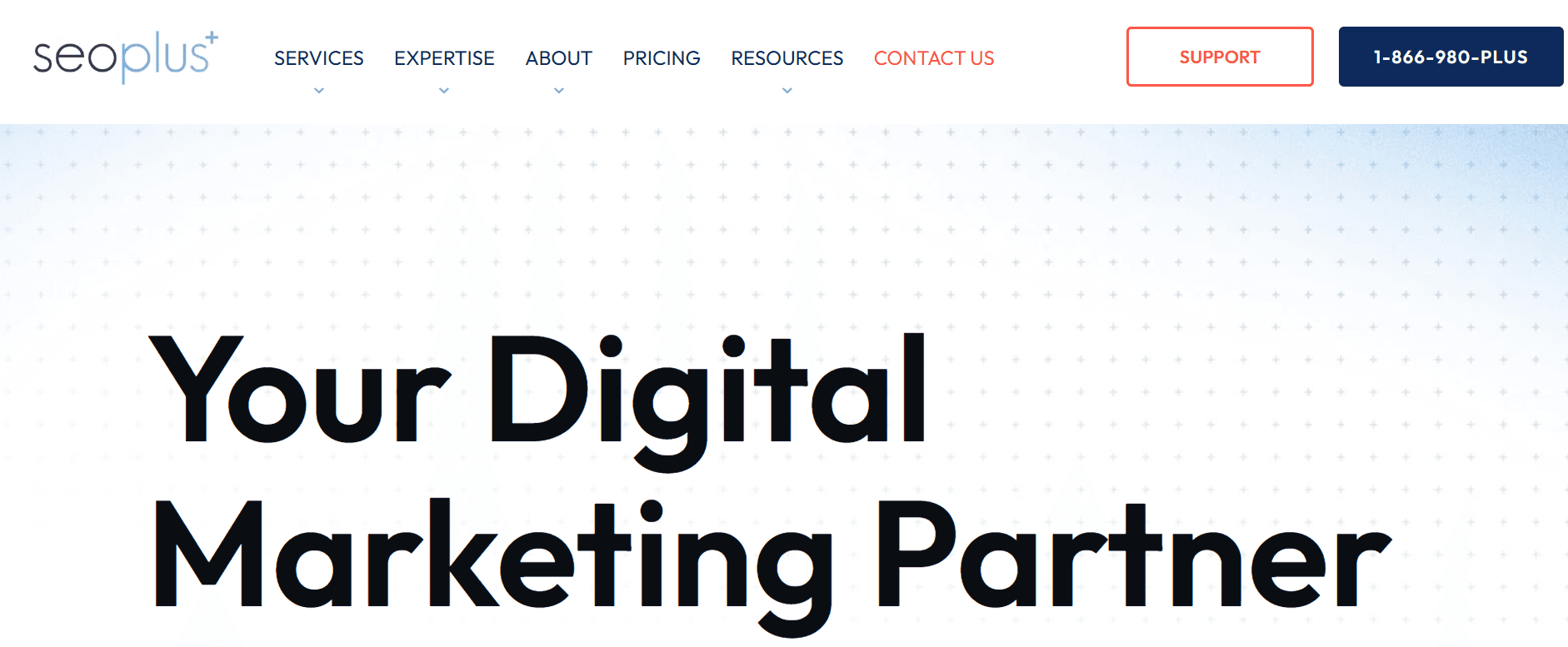 seo plus - SEO Agency Toronto