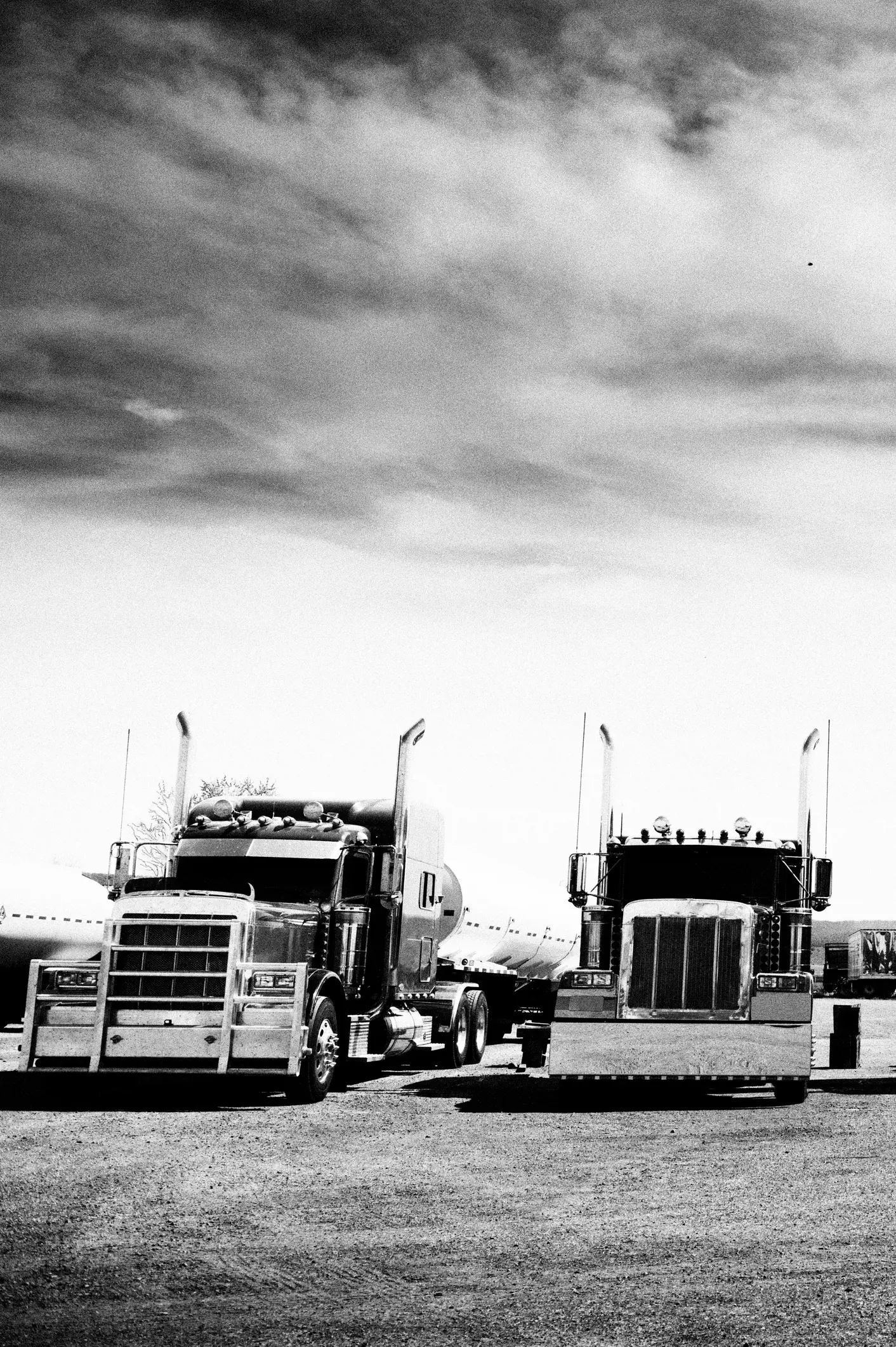 Classy american trucks in black and white