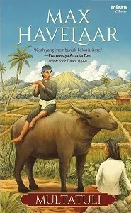 Cover book max havellar