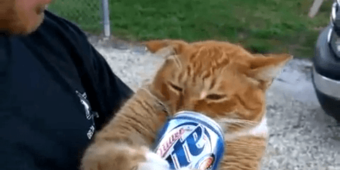 elven girl from nft collection celestials