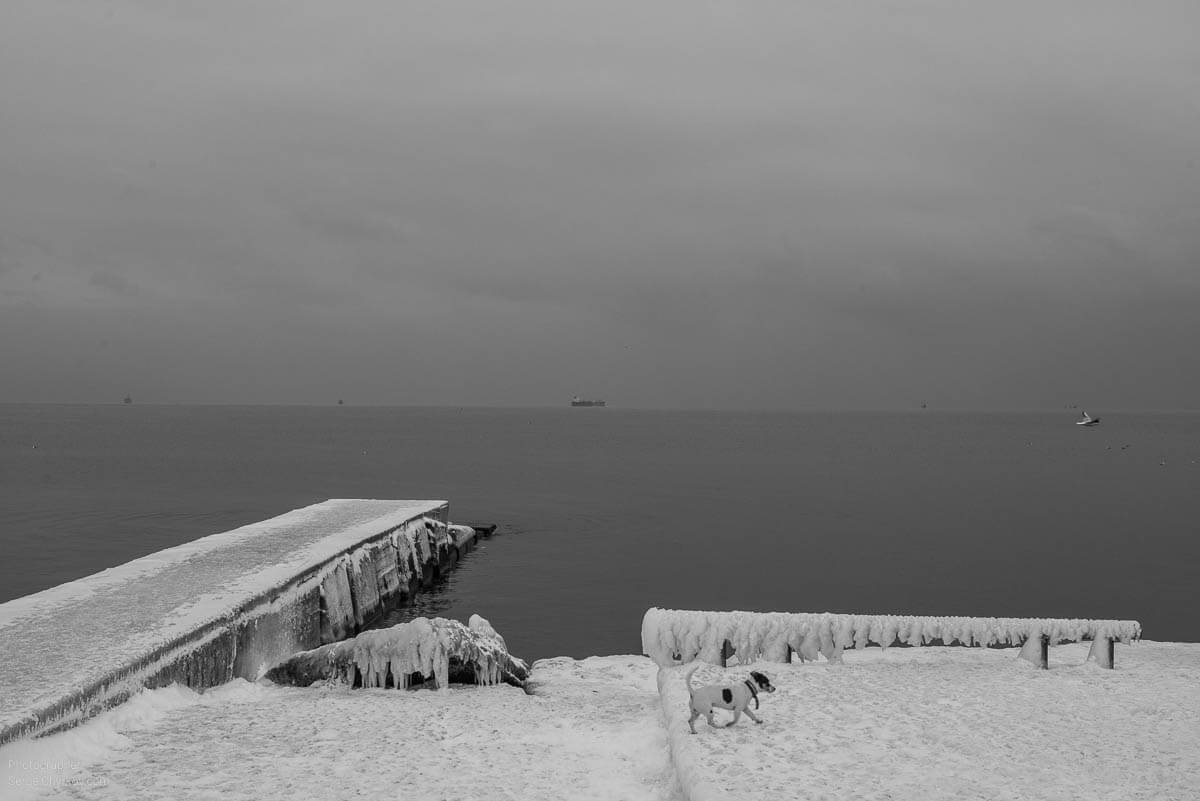 Одесса. Зима 2017. Фотограф: Сергей Чирков. Odessa, winter 2017. Photographer: Sergei Chyrkov.