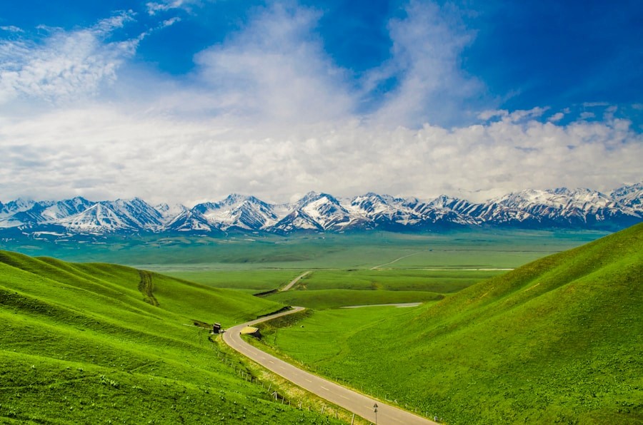 Green grass field near mountains under blue sky