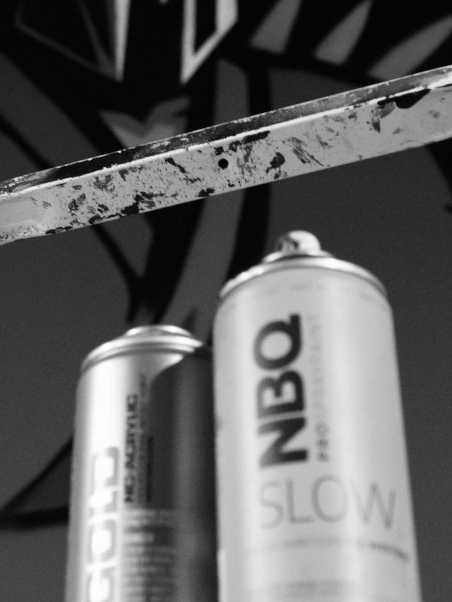 Sraycans - WIDA/VISUALS