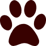 Pet Care wellness moment