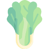 Lattuga