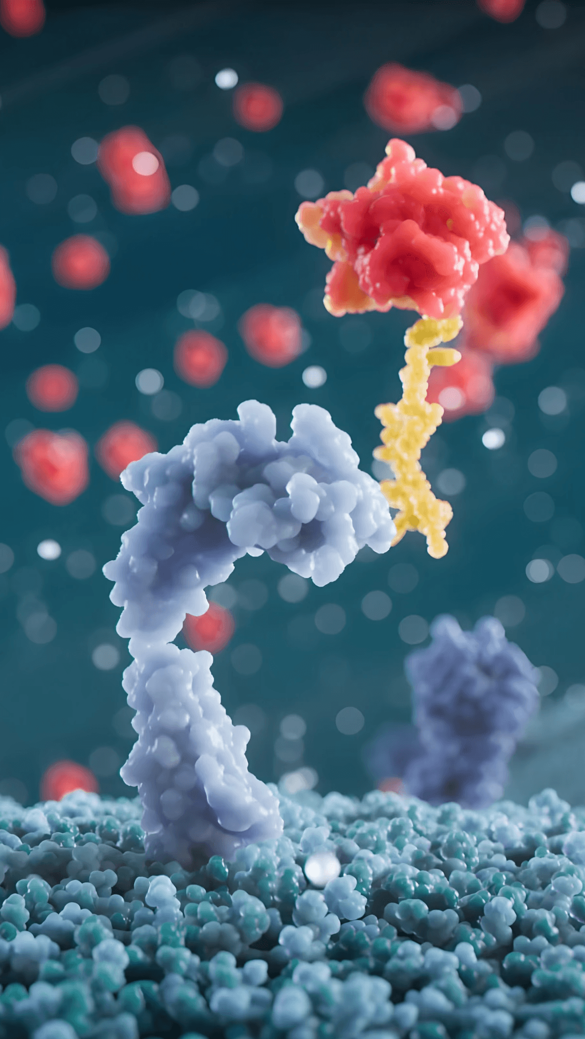 IL-18 and Fuse Bios' Attenuator approaching the IL-18 receptor