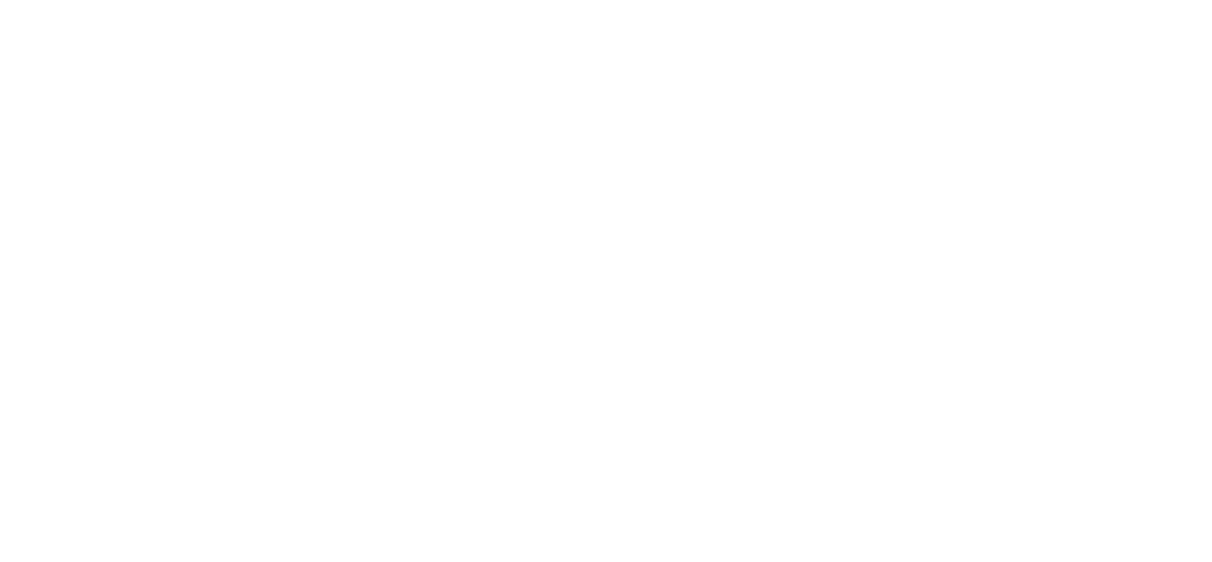 Helsinki Government Logo White Transparent