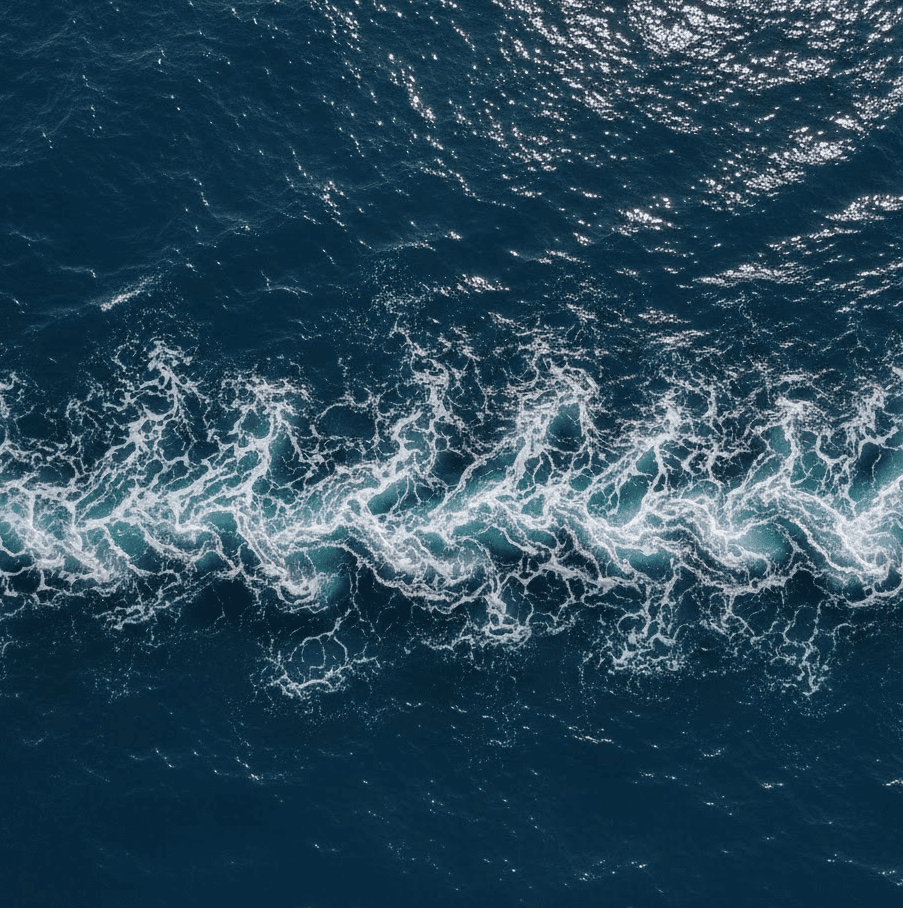 Close-up of rooftop solar panels under sunlight