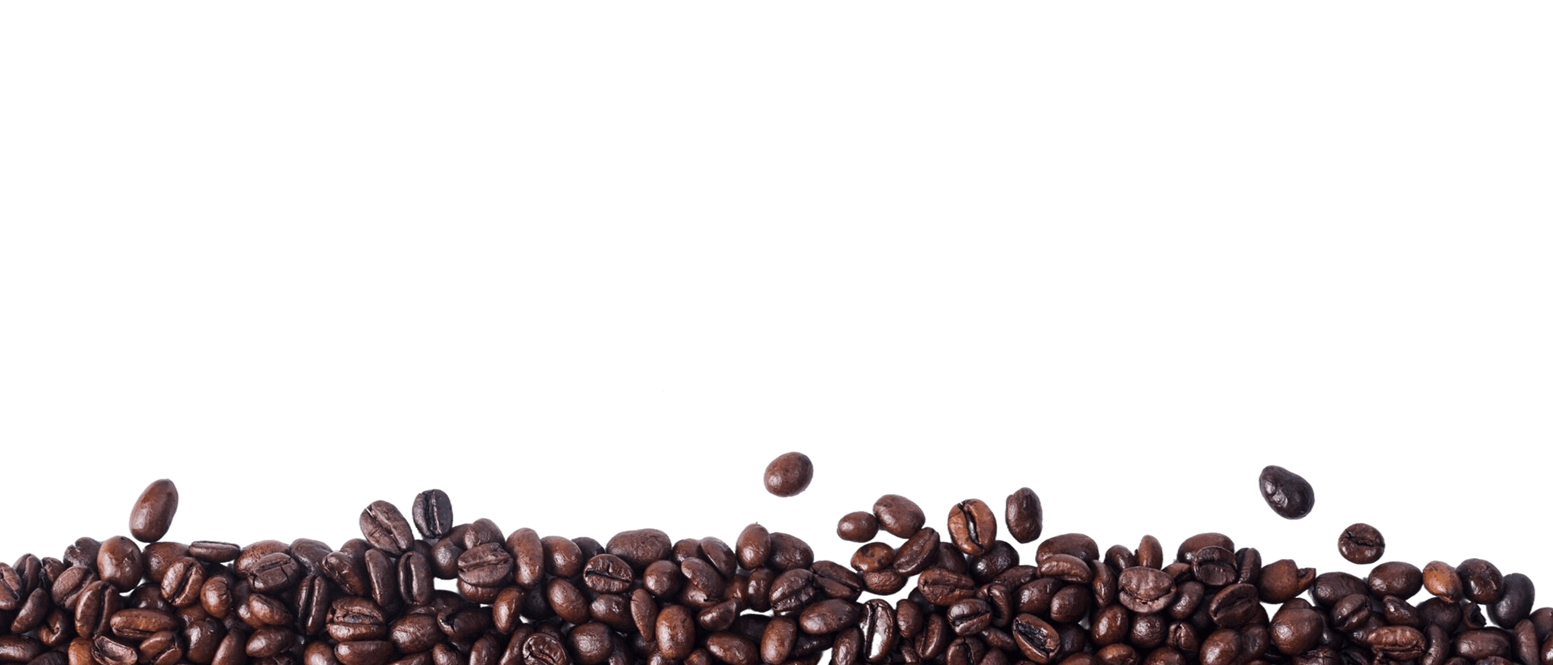 BG Image