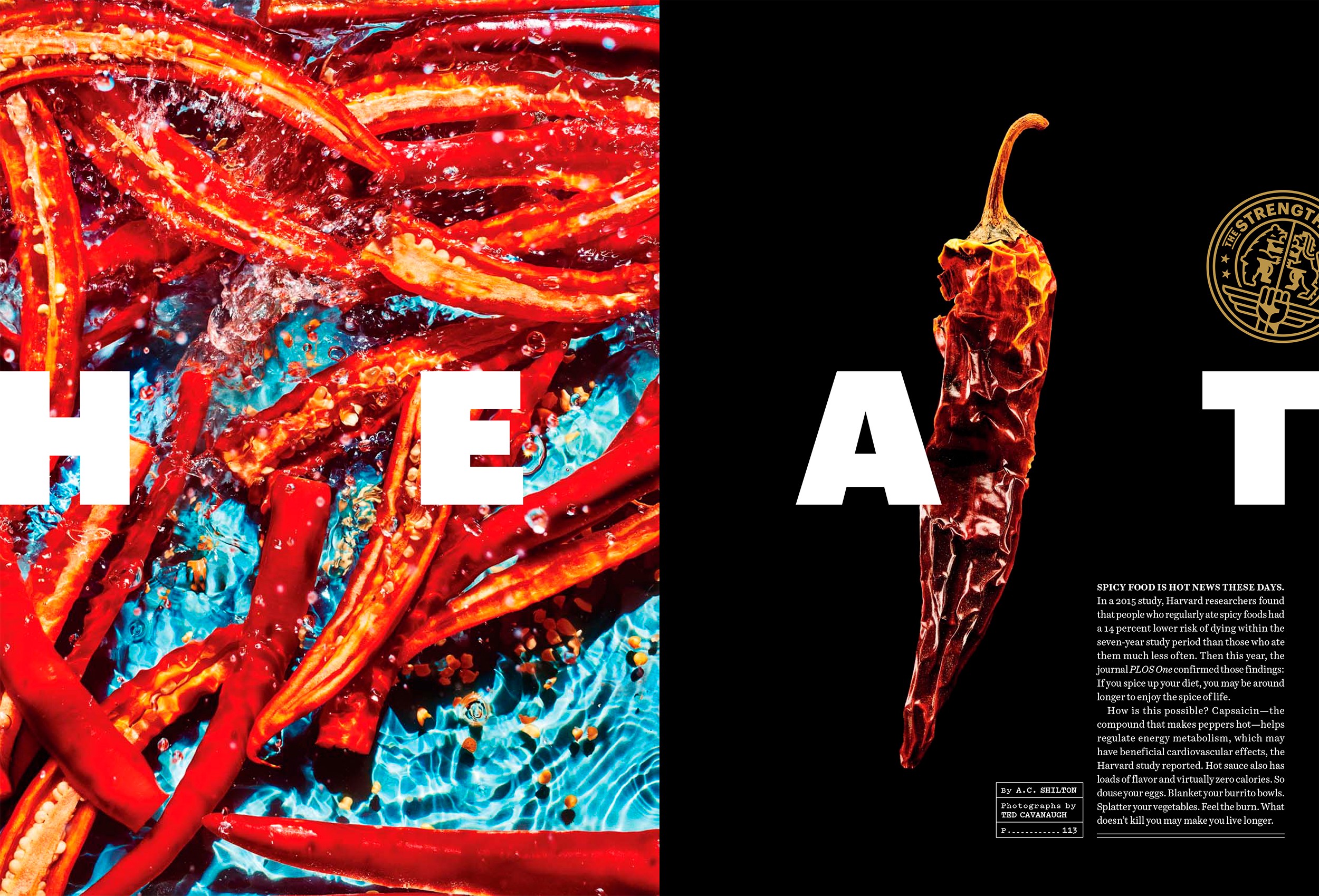 A spread layout with a cluster of chillis in halves on water, opposite to them is a single dried chilli show on a black background.