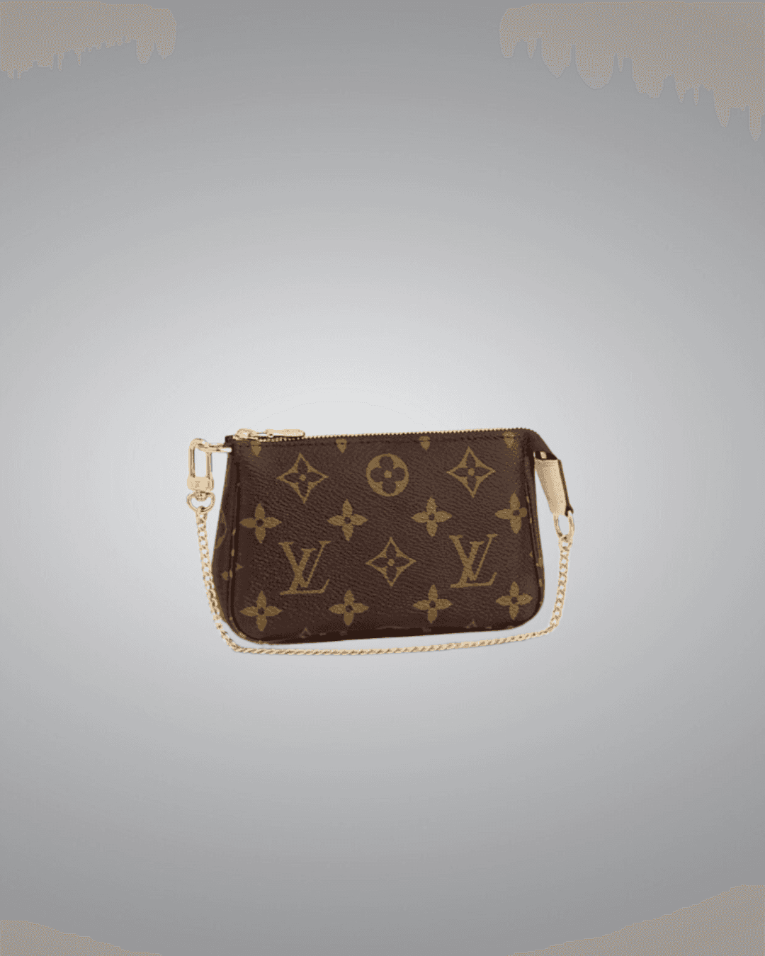 LV Mini Bag