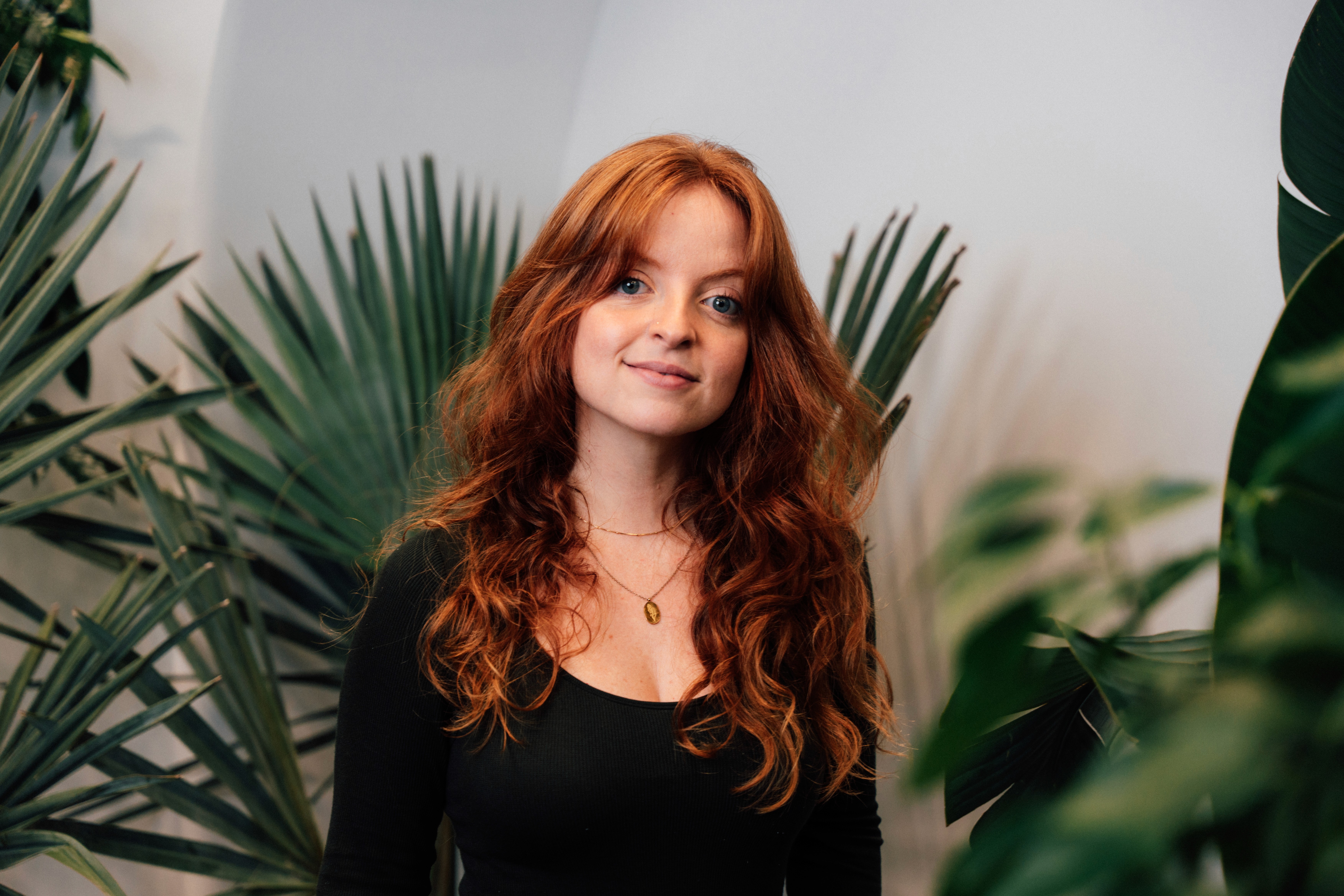 The image featured at the top of the about us page #1