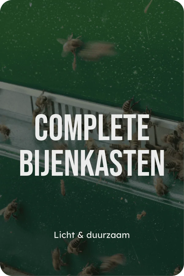 COMPLETE BIJENKASTEN — Licht & duurzaam