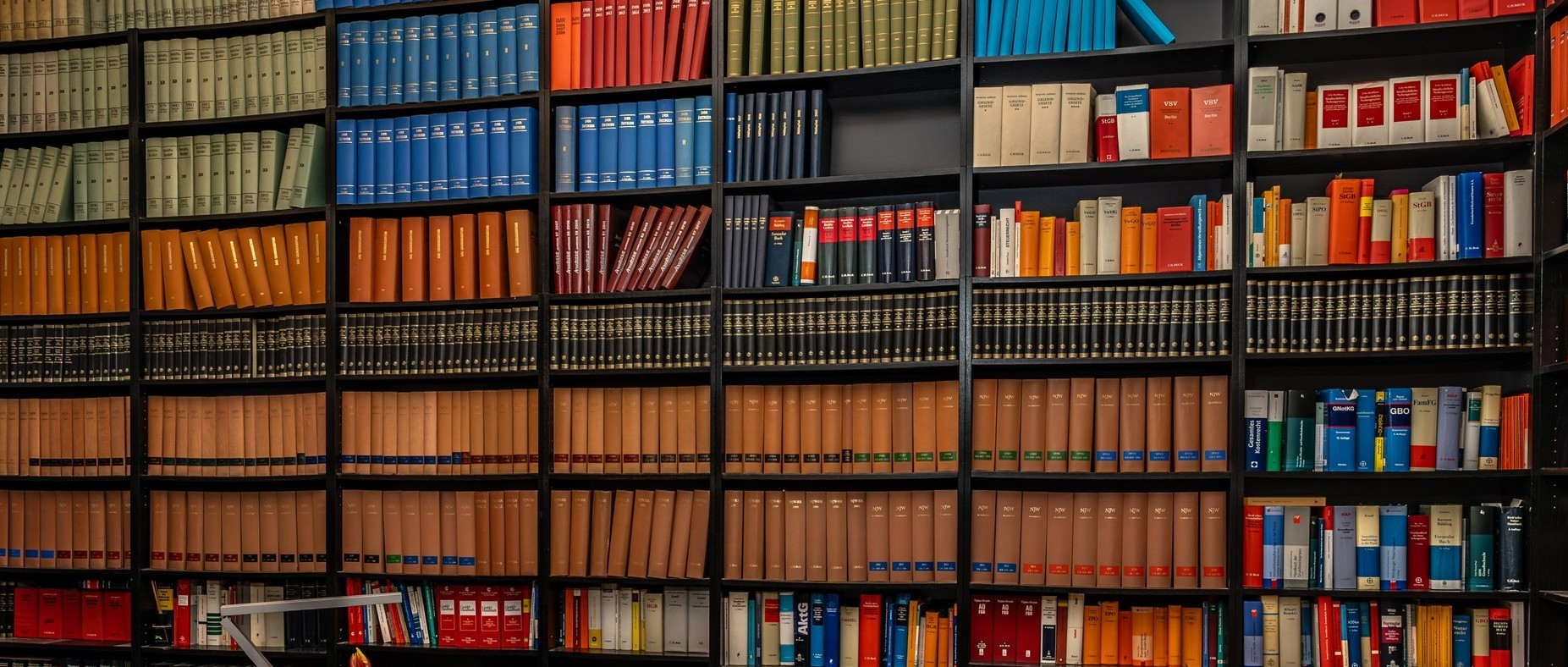 Close-up of a dark green leaf showing its textured surface and central vein against a muted background.