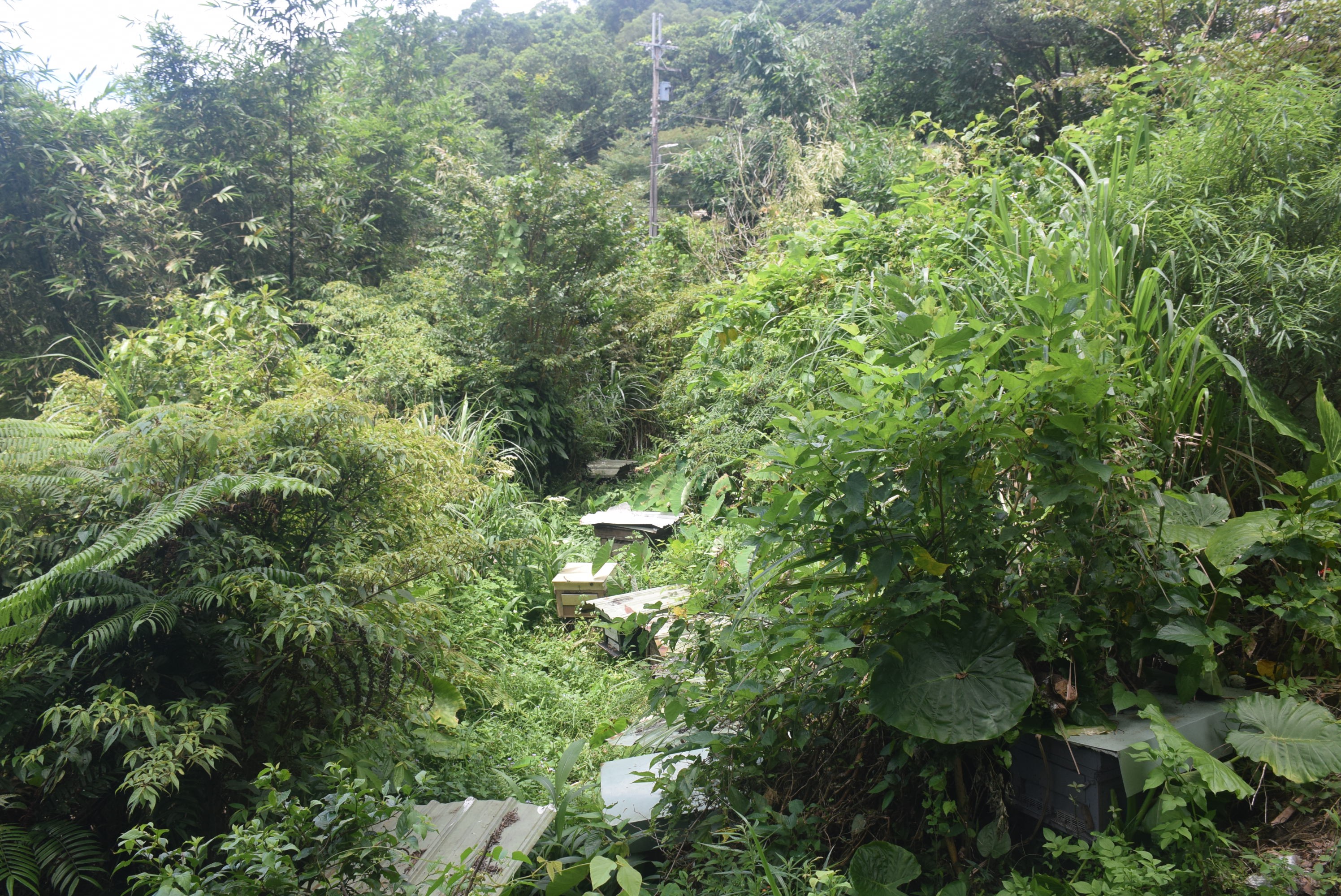 A man standing with Sufboard