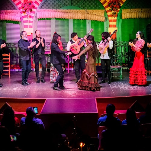 享受弗拉门戈表演,提供晚餐选项