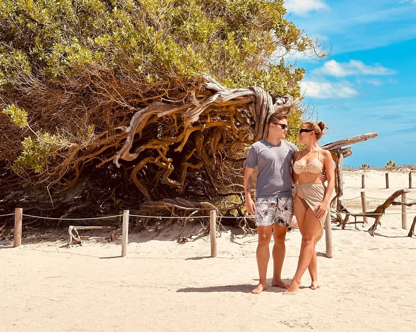 Intelligent CRM Freamwork data