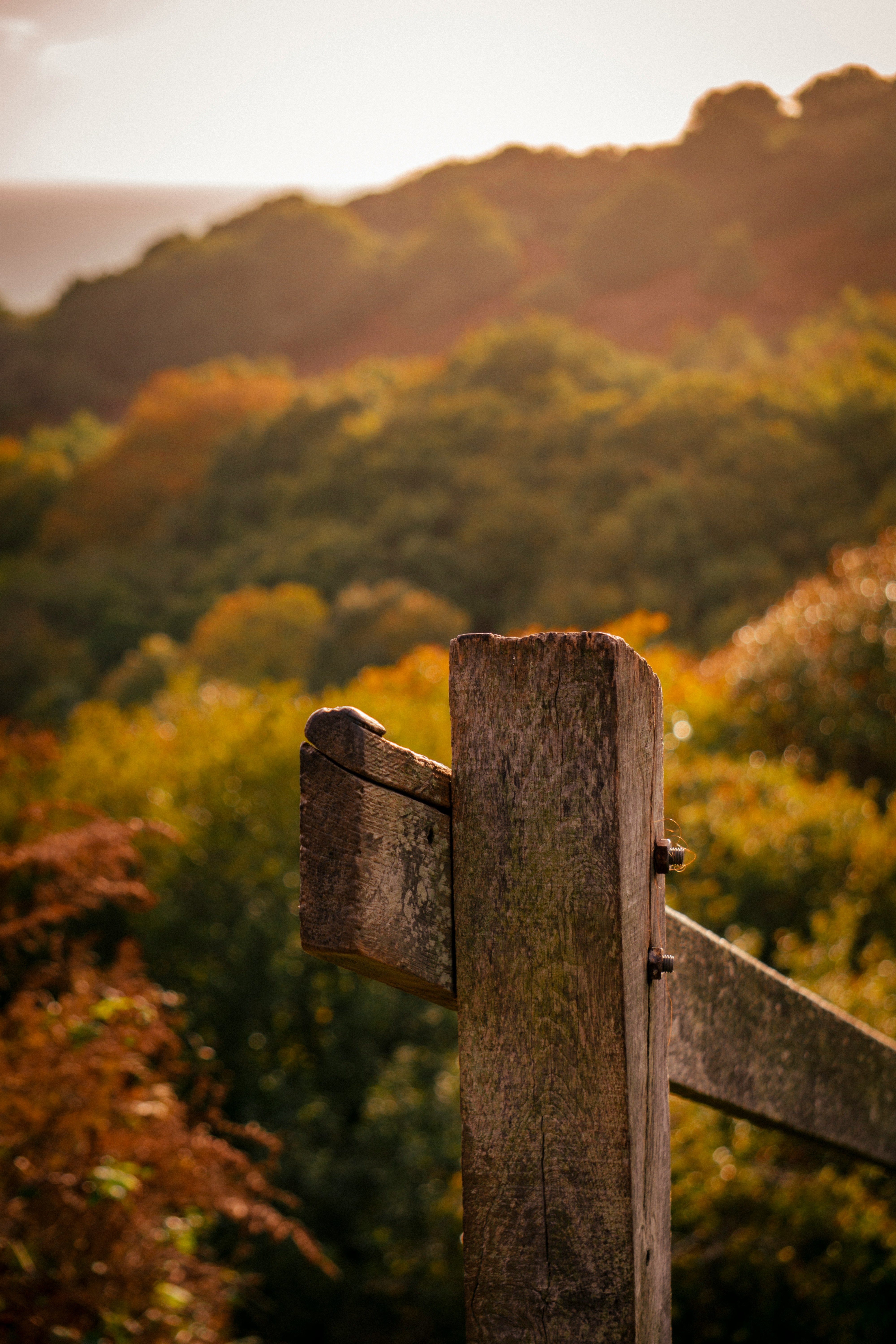 a wooden fence with trees in the background