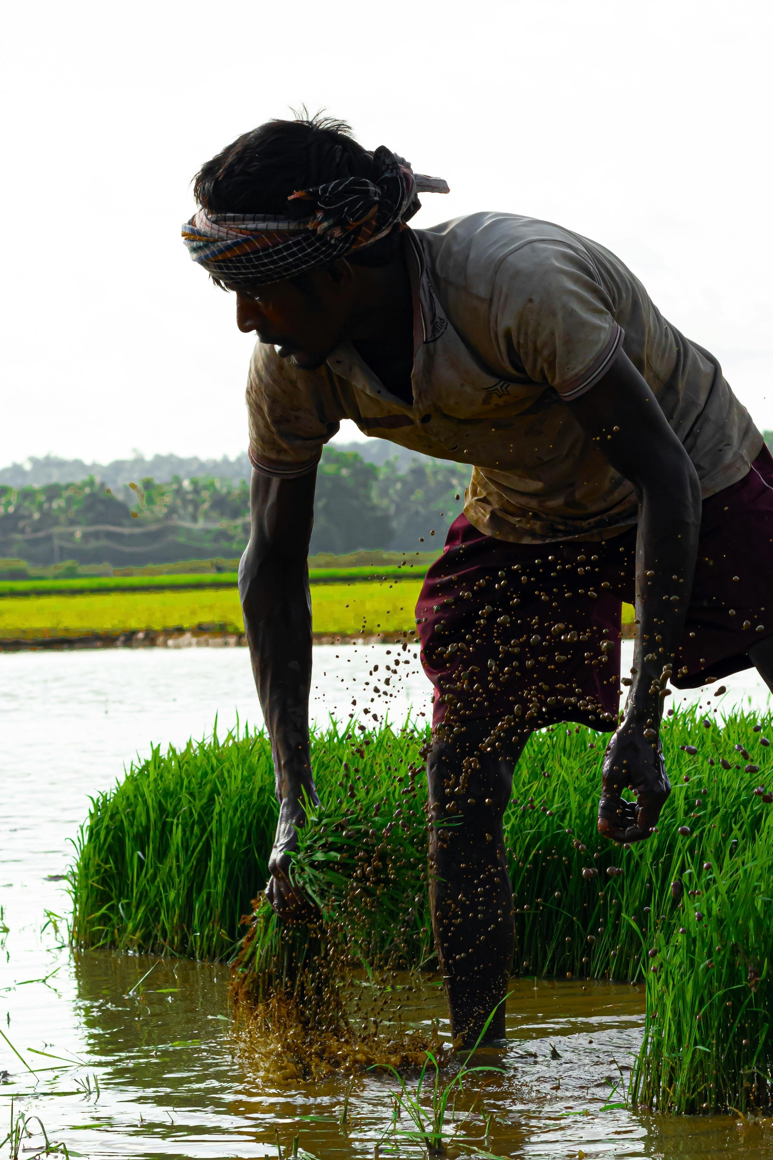 man with farm harvest