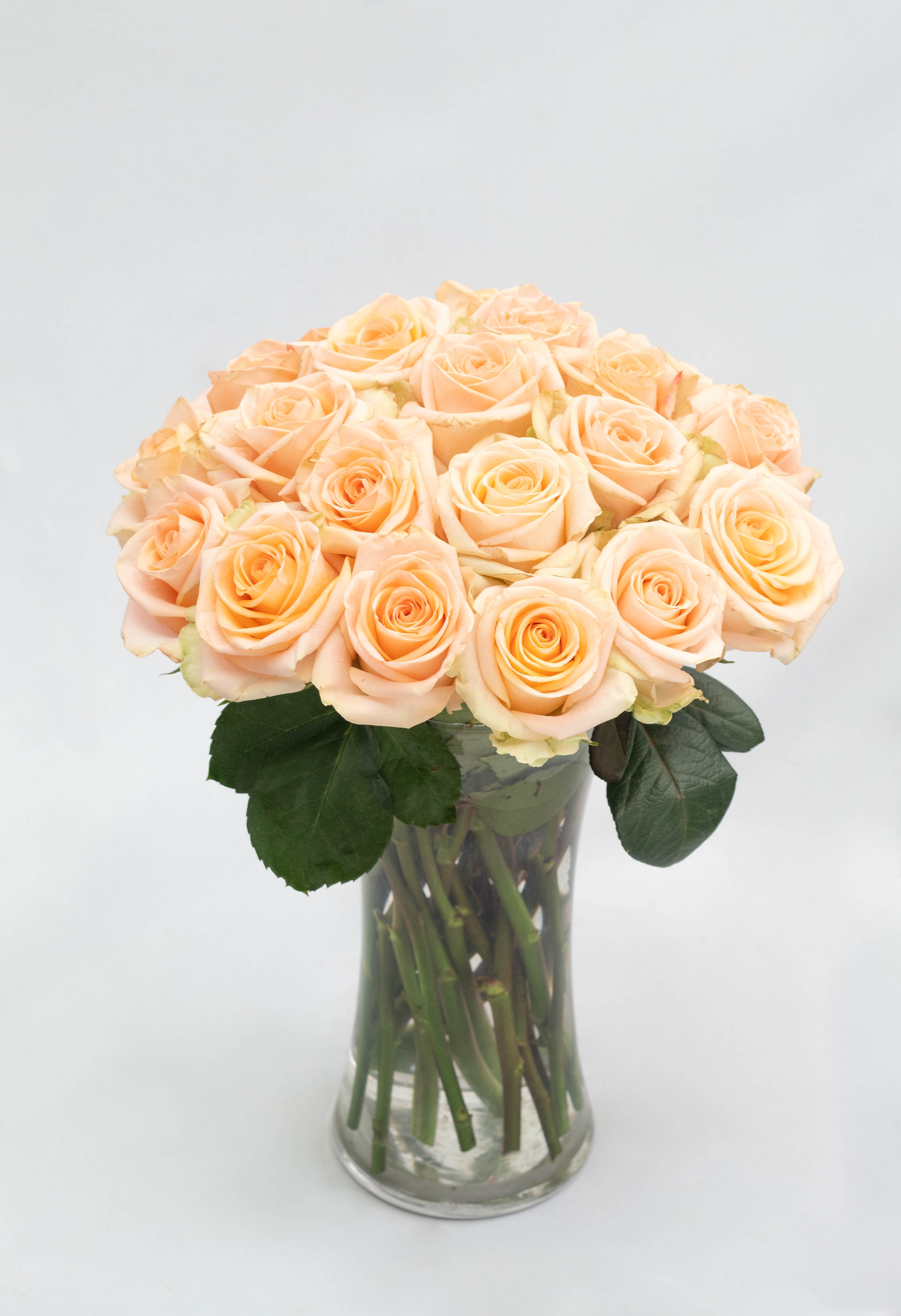 white chair near white wall