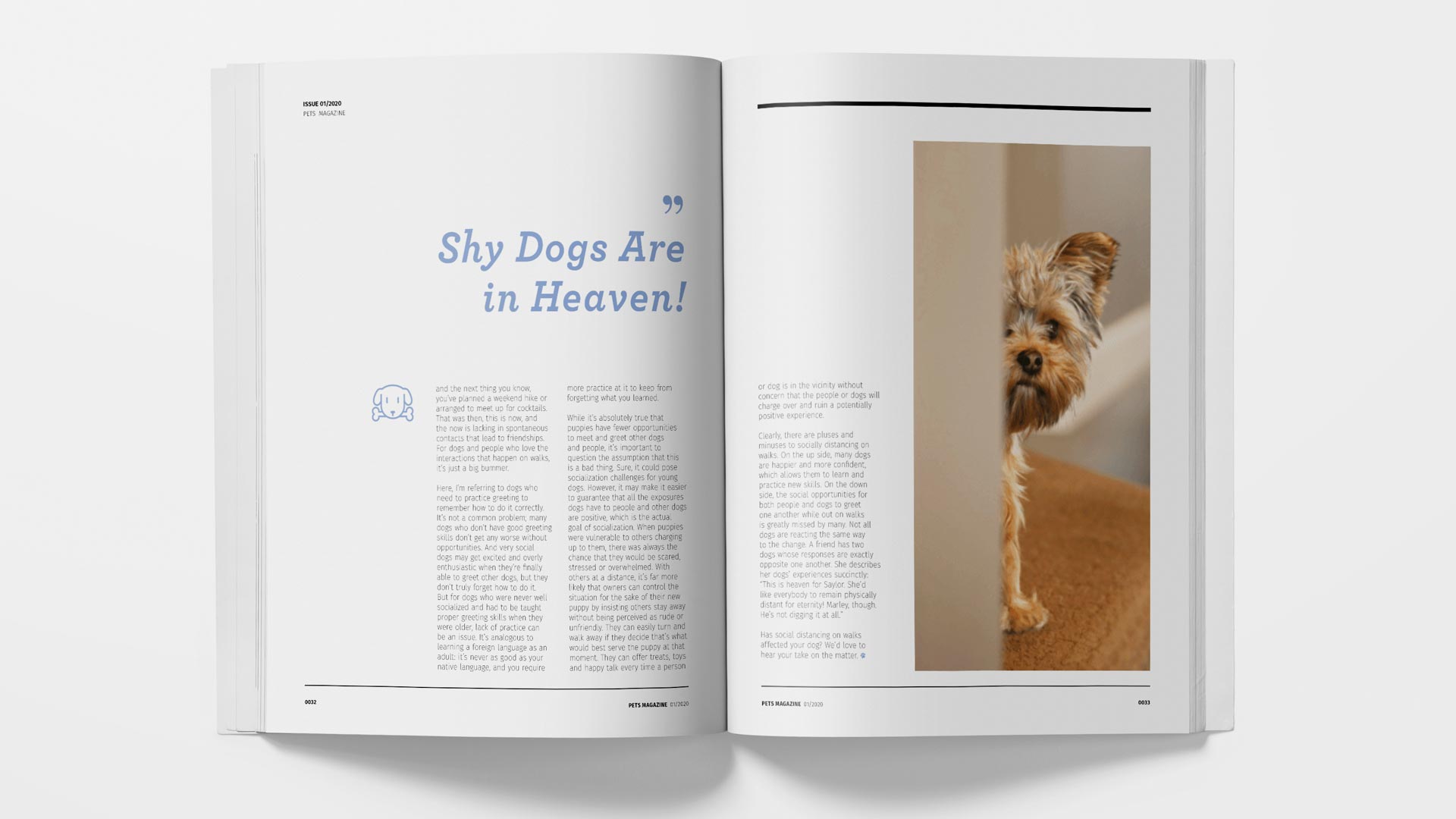 Pets magazine by Shuhan Lu