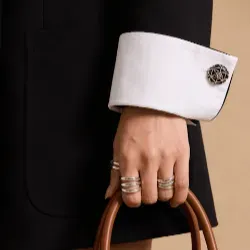 Handbag and Rings