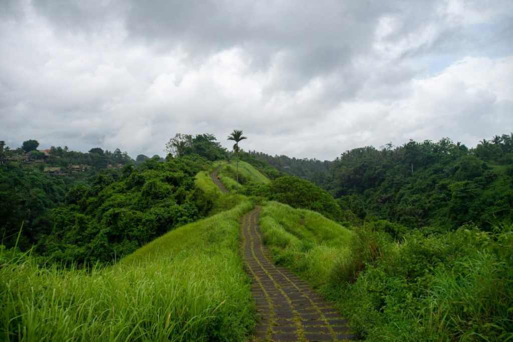 Campuhan Ridge Walk trail, Bali