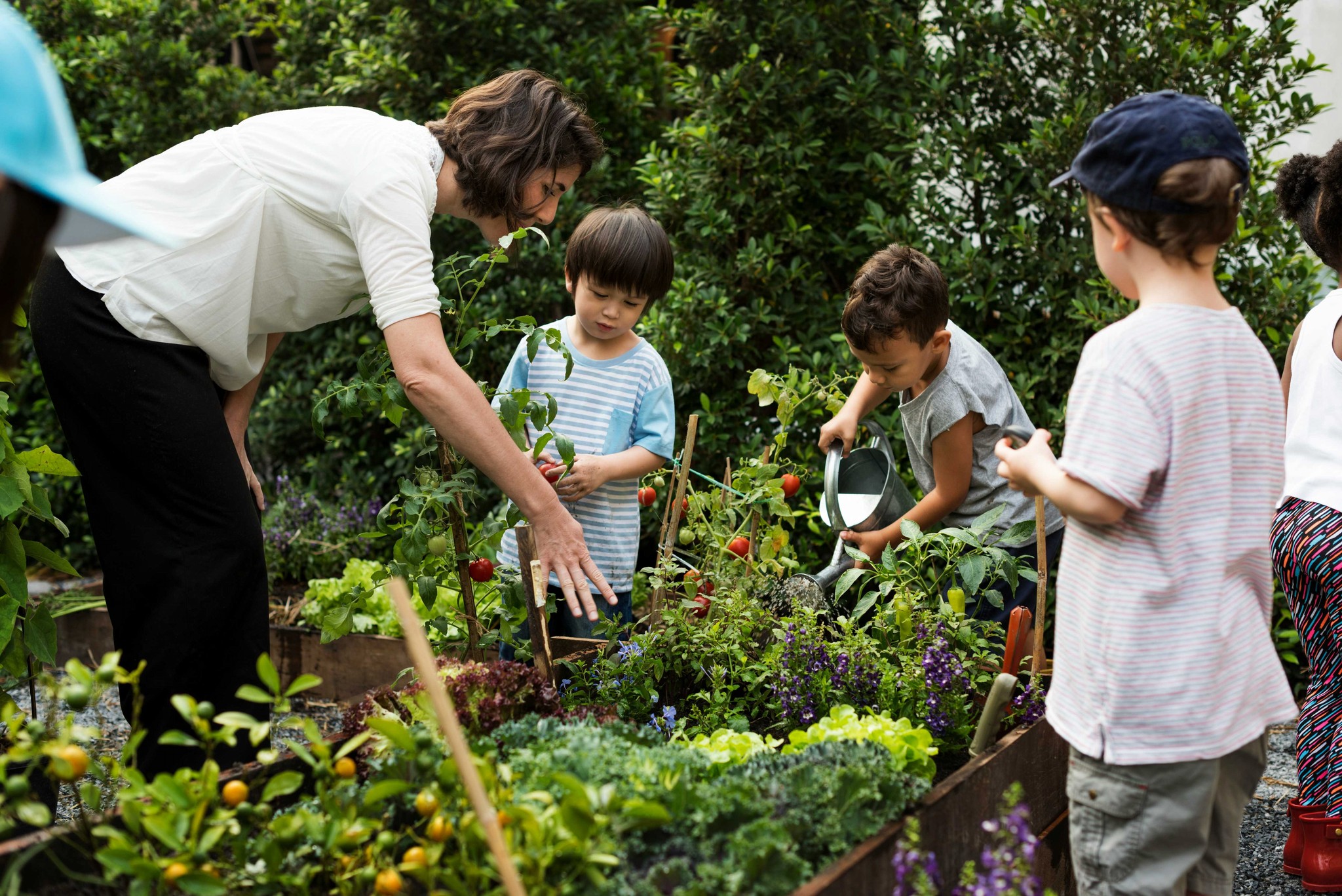 Kinder lernen mit einem Erwachsenen über Gartenarbeit und kultivieren Gemüse und Blumen in einem lebendigen Gemeinschaftsgarten, was eine praxisnahe Umweltbildung fördert.