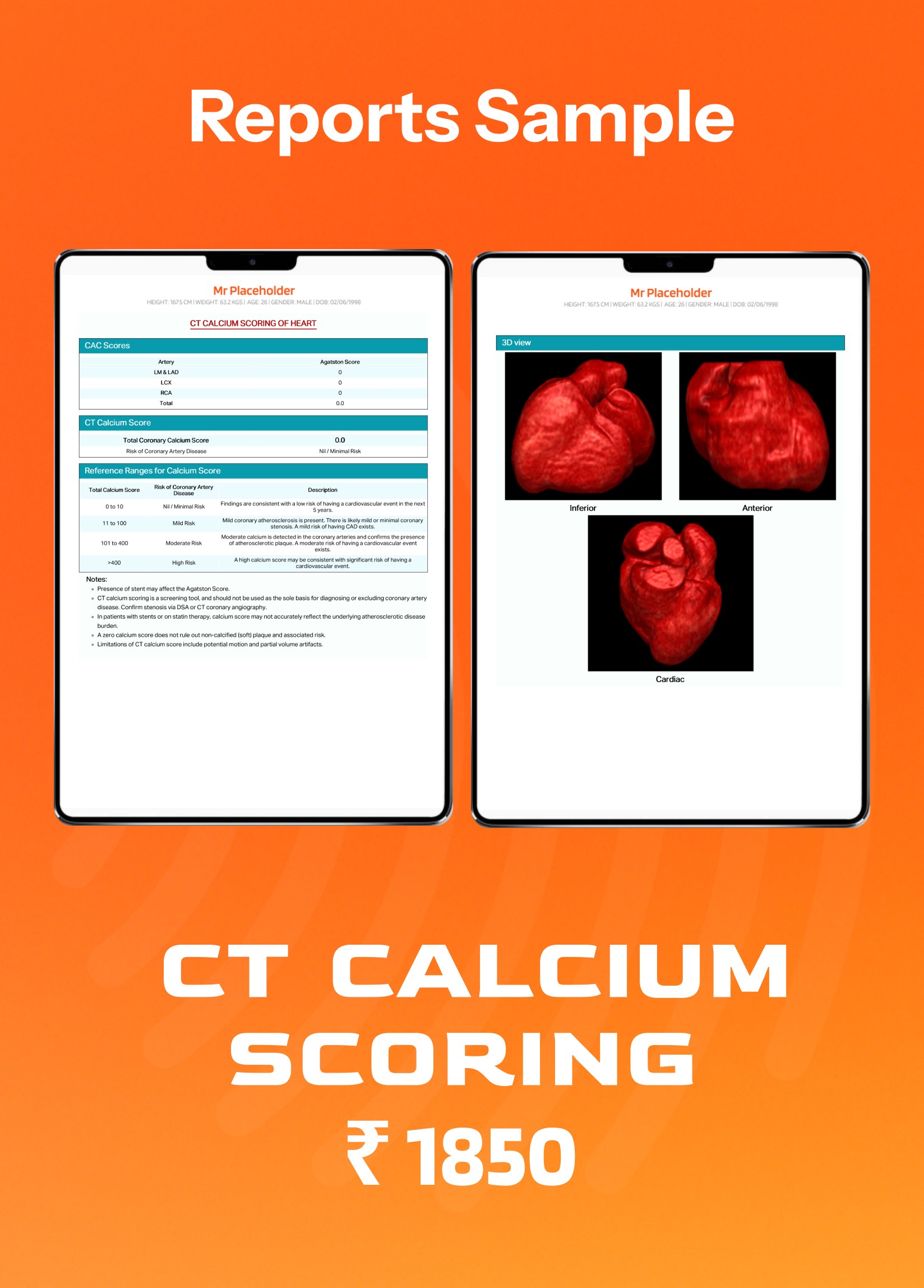 a gloved hand holding a test tube filled with liquid