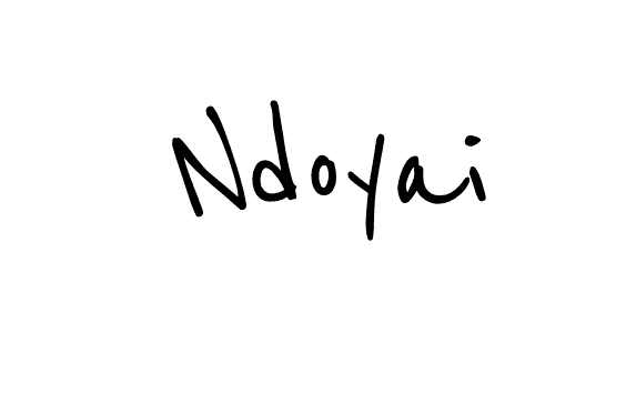 ndoyai logo