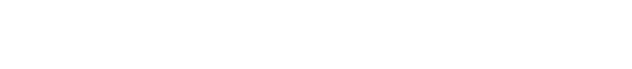 Skyloom logo