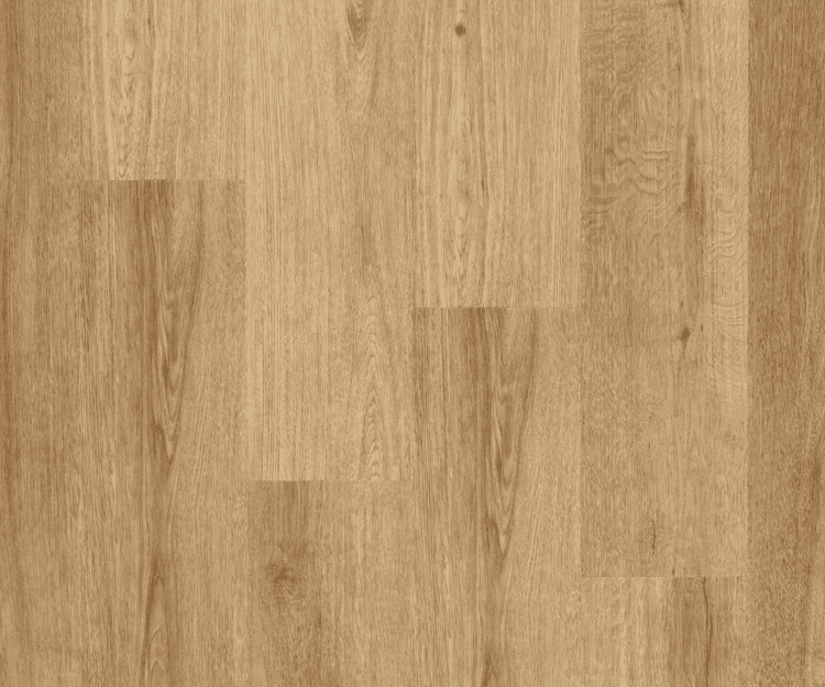 Cabinets: Painted White Shaker Wood