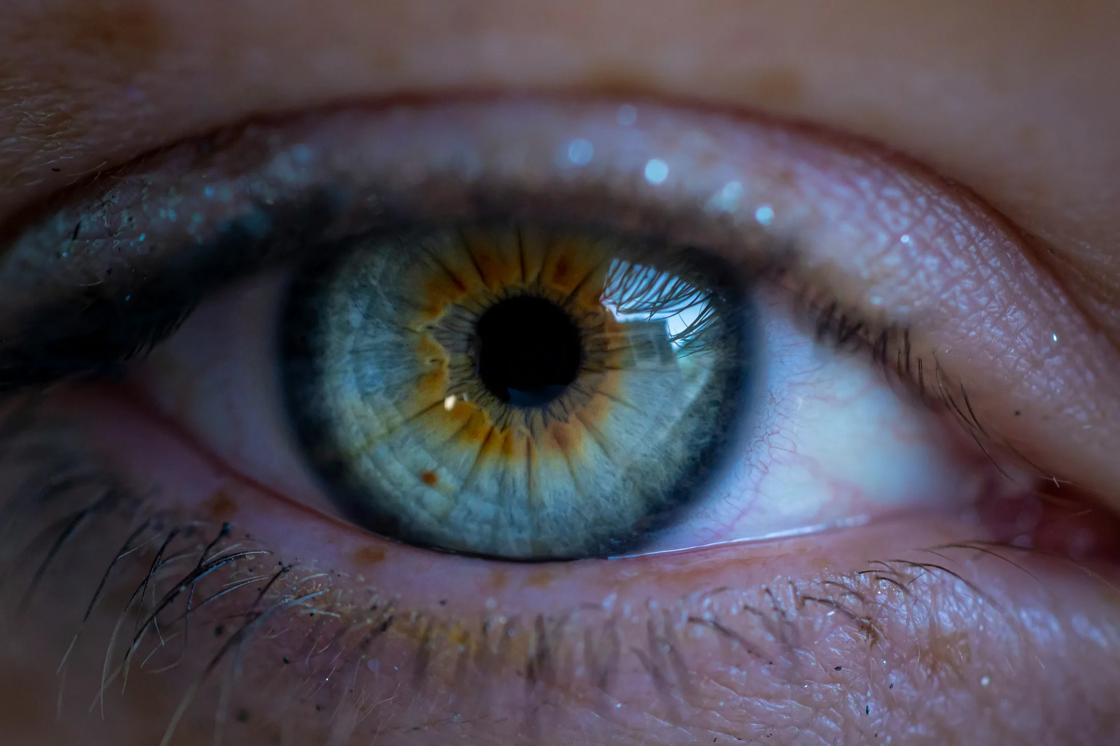 Extreme close-up of an eye