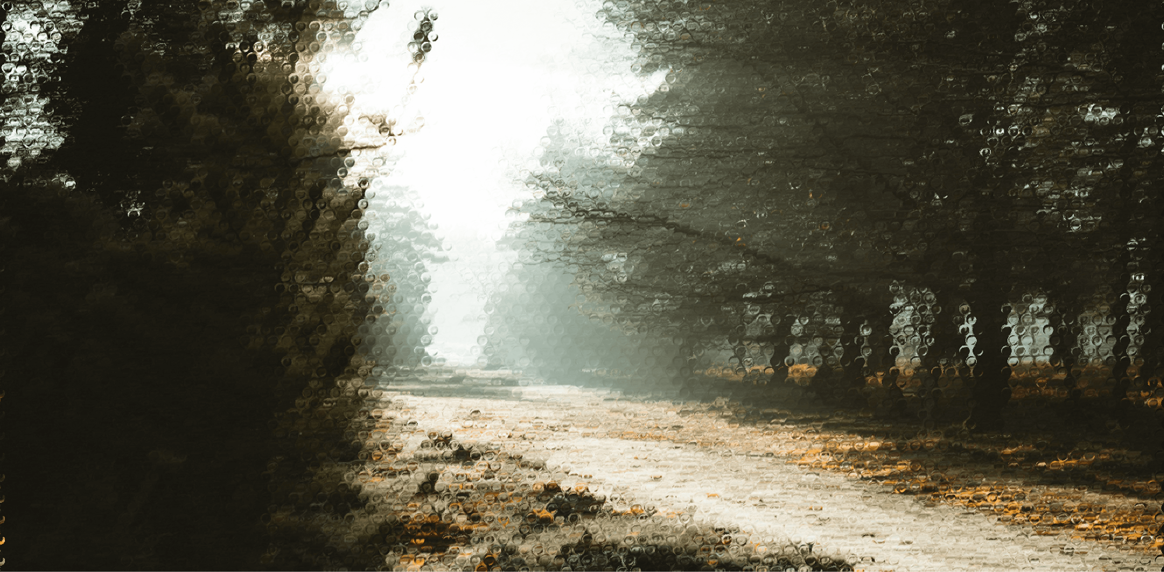 A serene forest path surrounded by tall trees, with dappled sunlight filtering through the branches, creating a tranquil atmosphere, perfect for a peaceful walk; text overlay reads, "Organic Green Tea Haven."