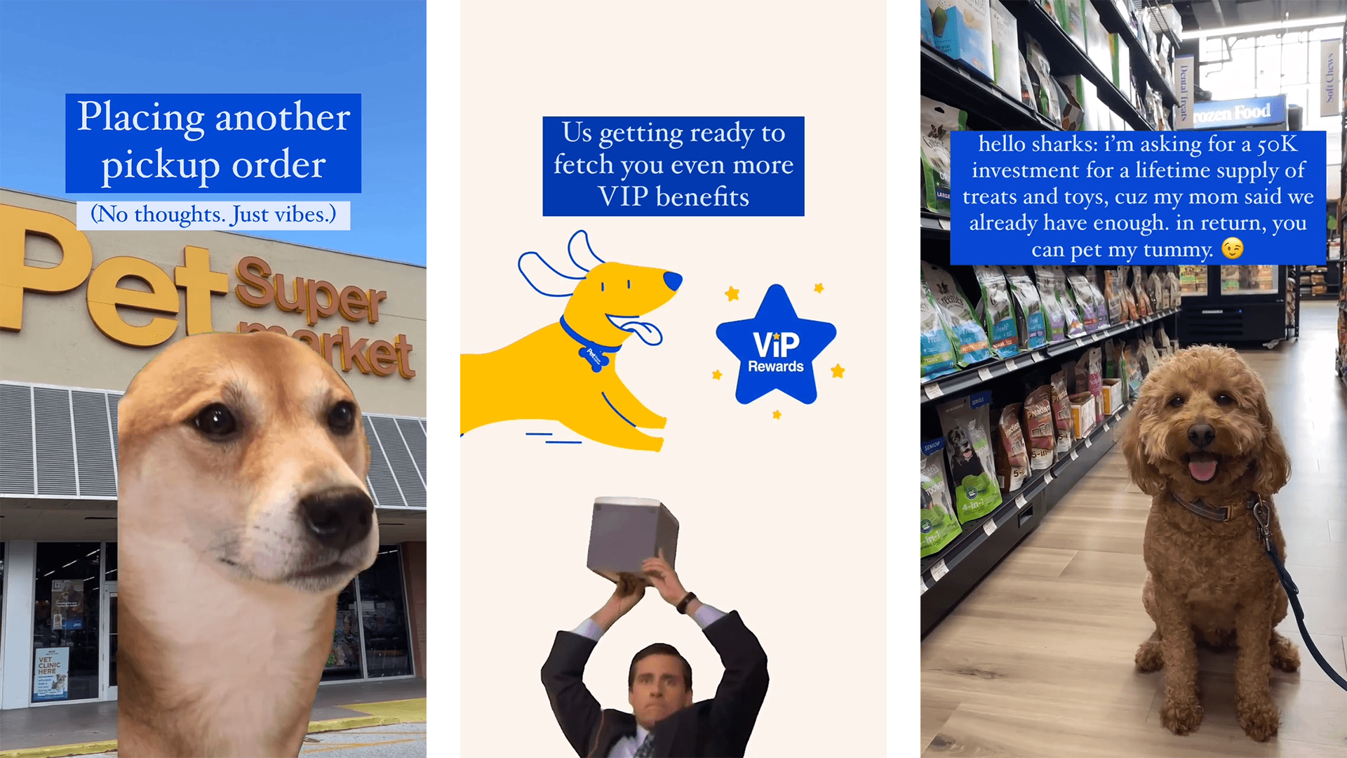 Pet Supermarket Work Sample