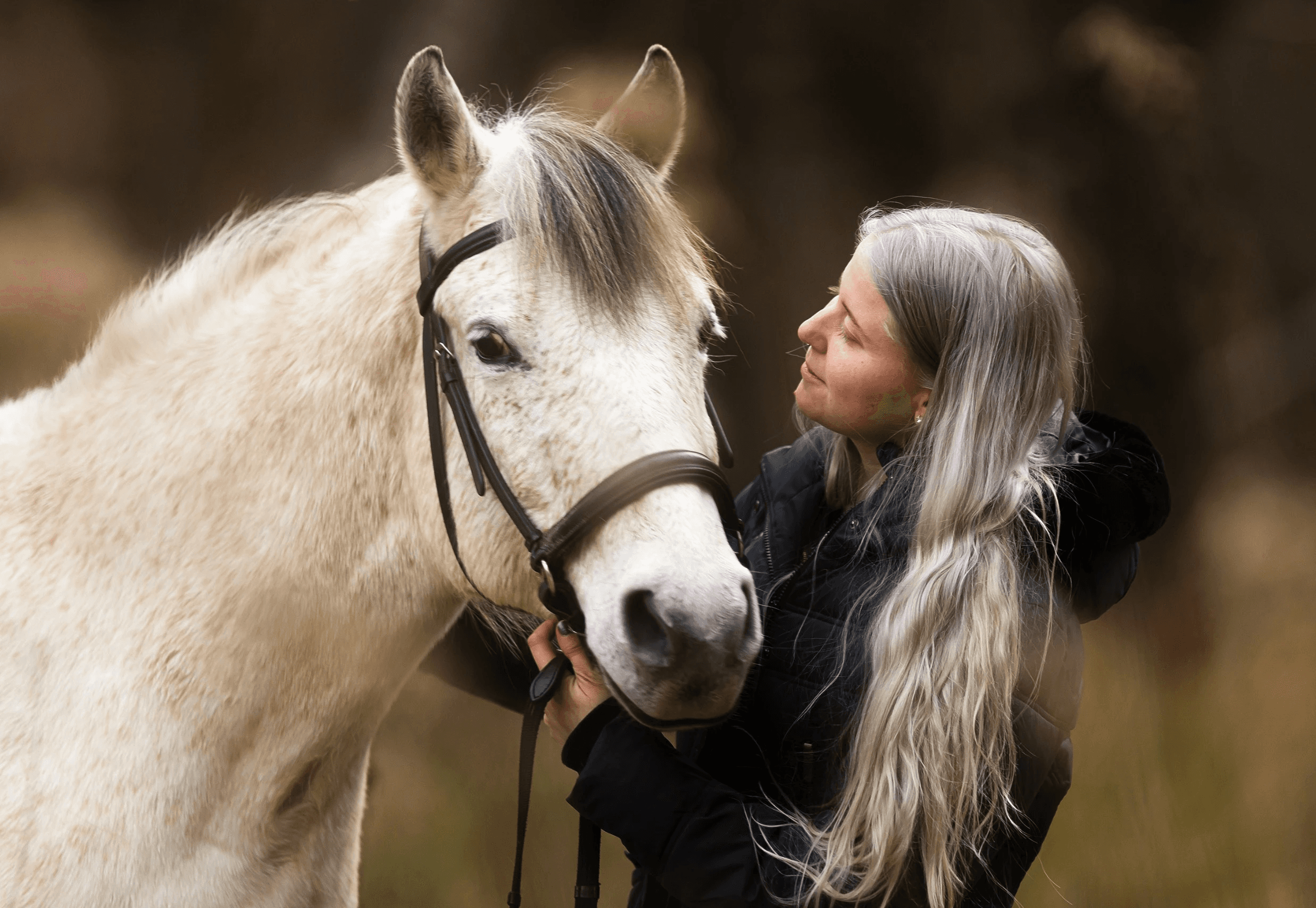 samenwerken paarden professionals