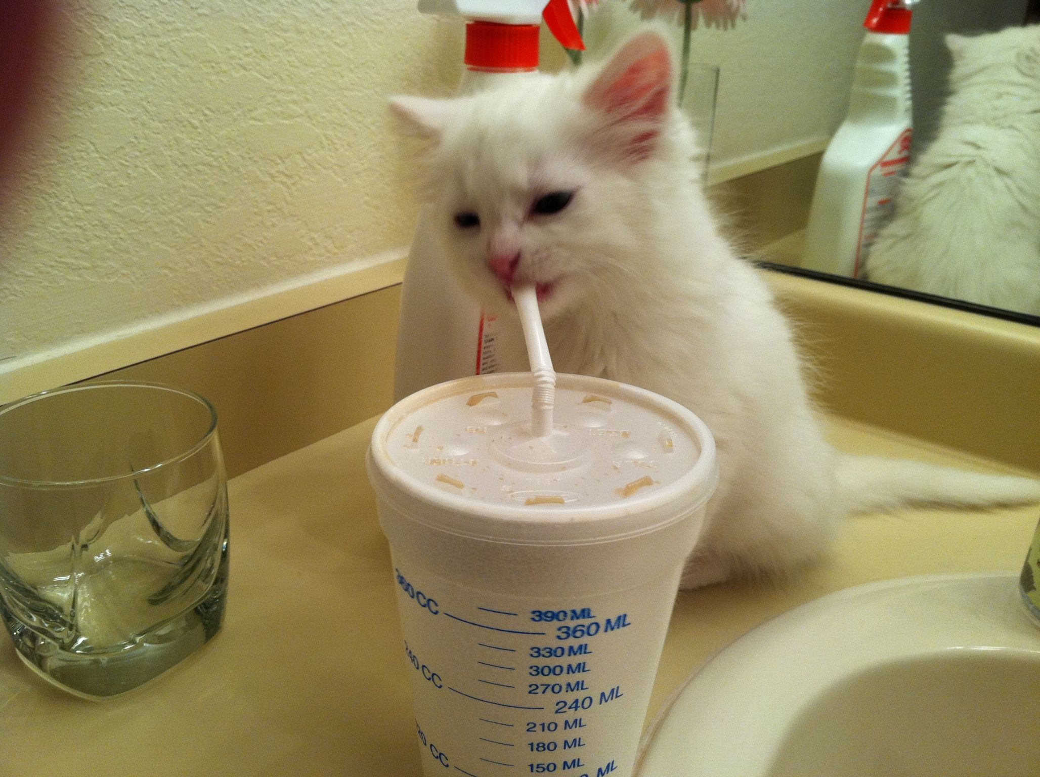 elven girl from nft collection celestials