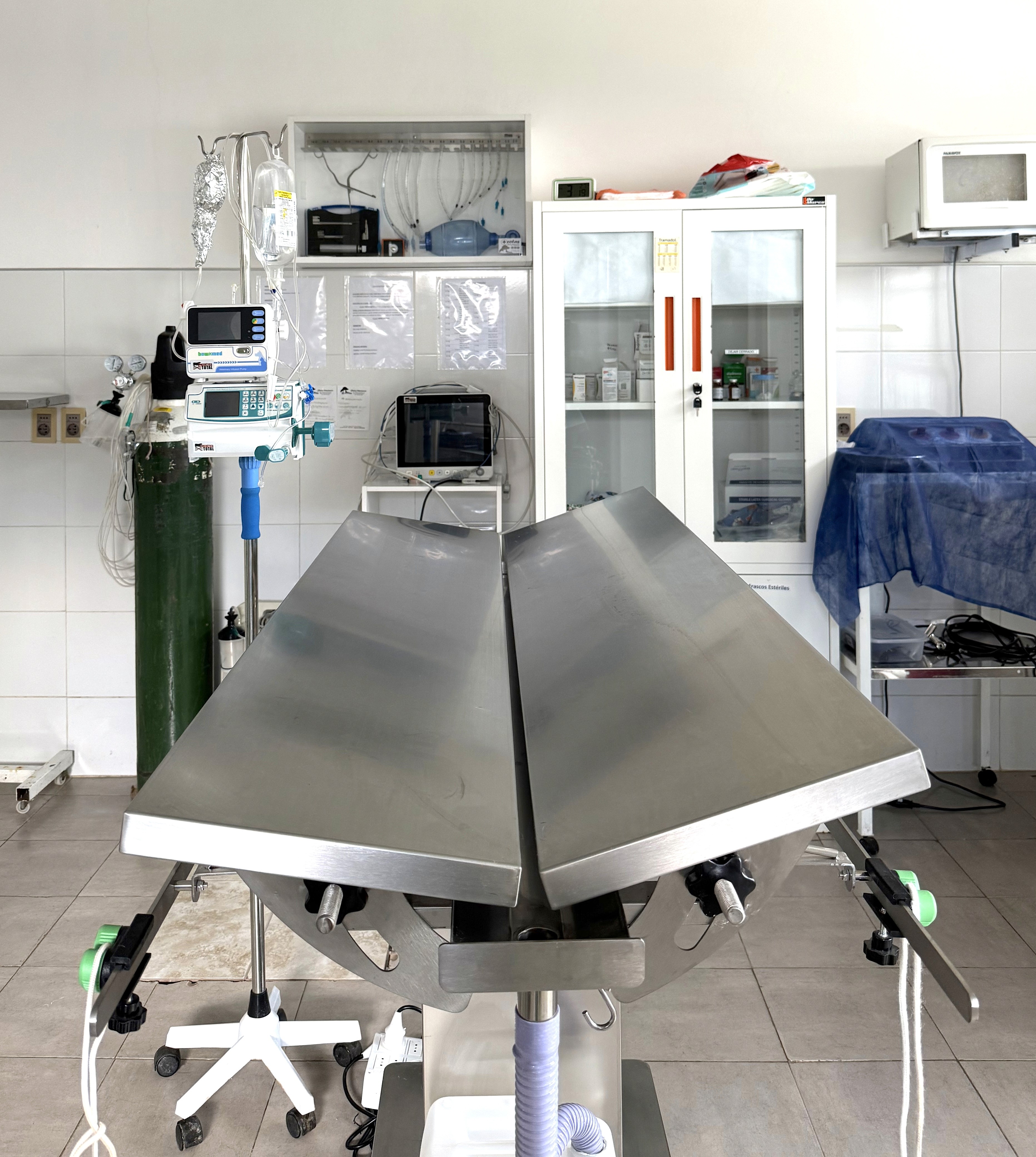 Close-up of a tree stump showing growth rings and a textured brown wood surface.