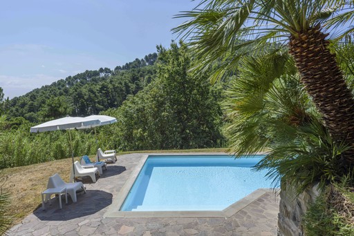 Luxury minimal chair