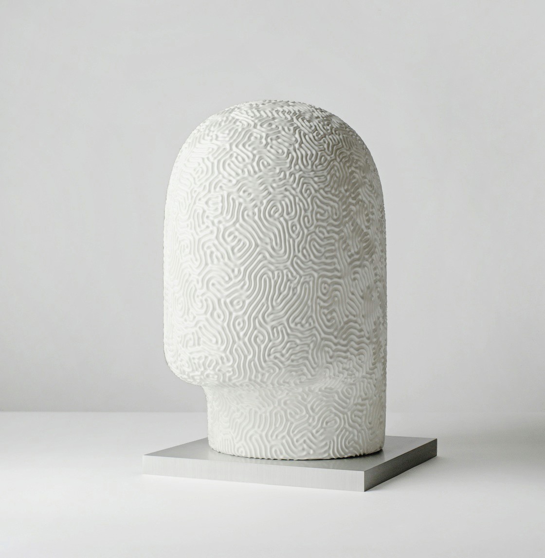 Dom Pérignon vineyards from the sky