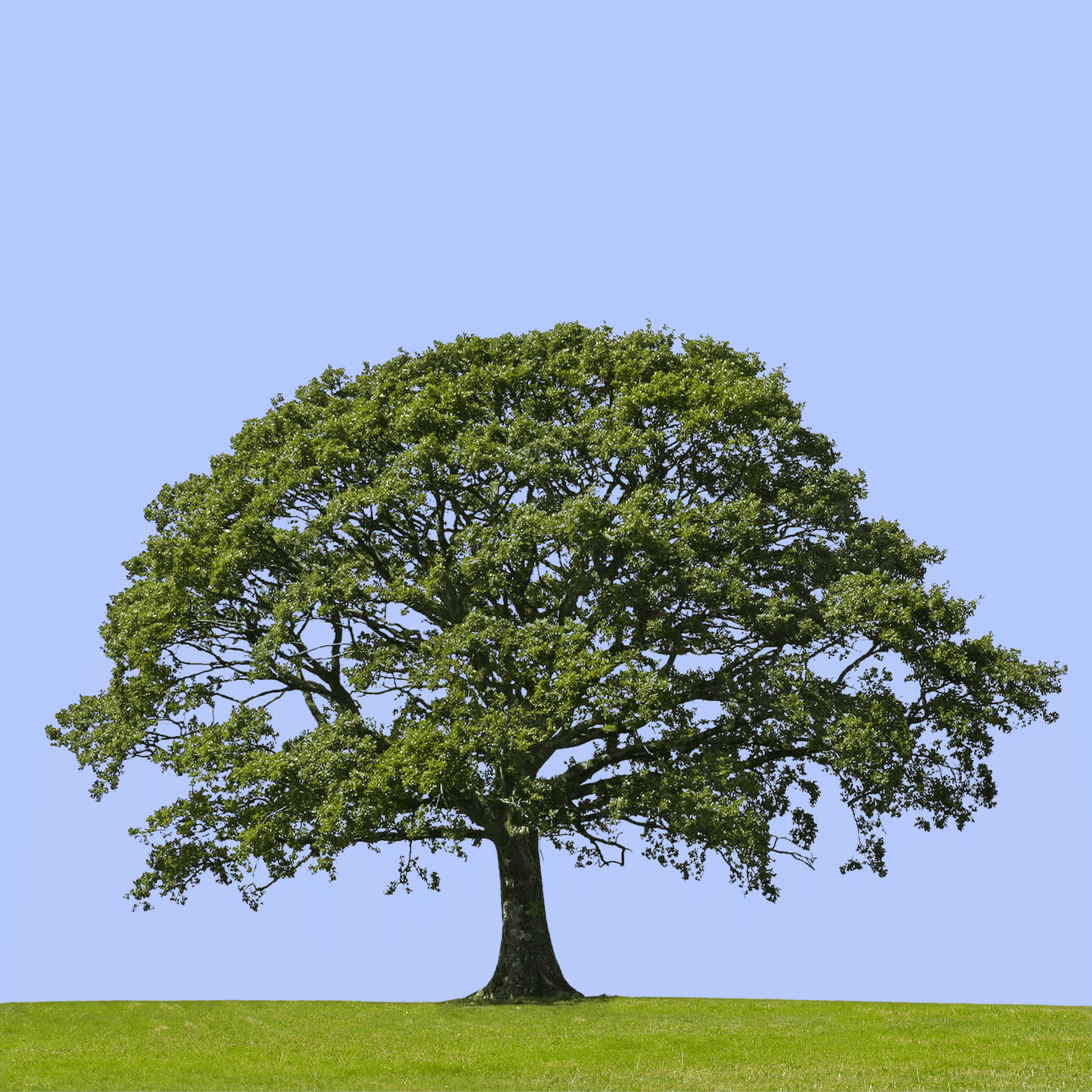 Foster self-reliance