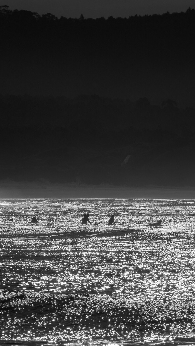 Black and white photography of surfer's line-up