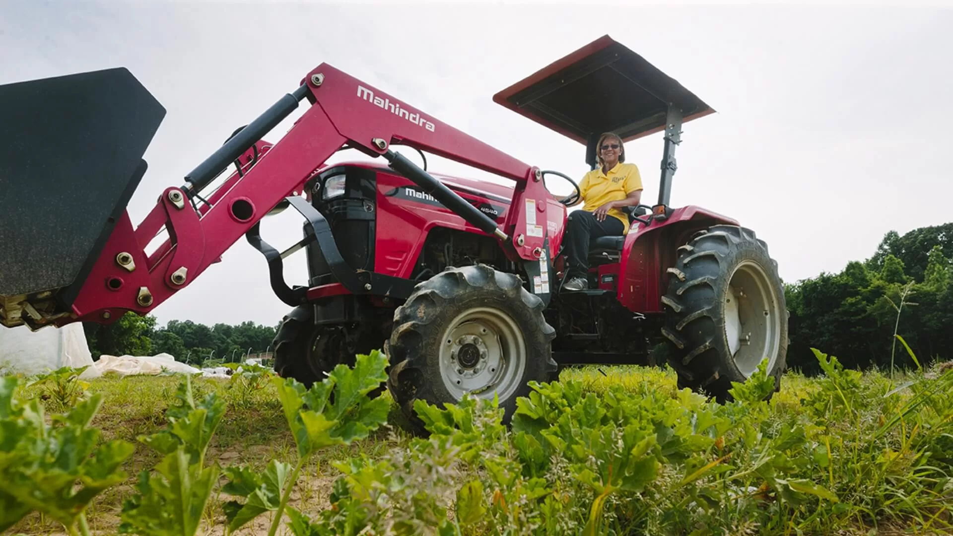 Solar for Debra’s Family Farm