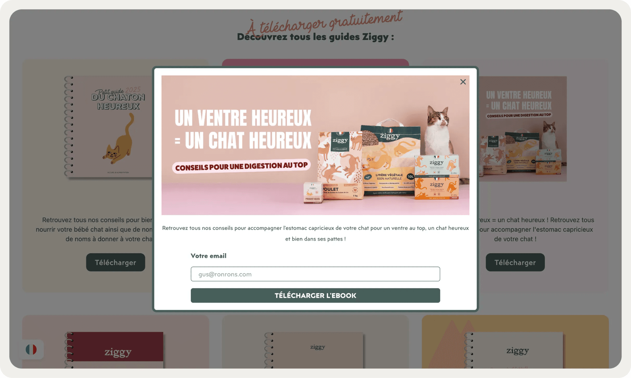 Ziggy French-language pet food offer promoting a 10% discount on the first order for French visitors.
