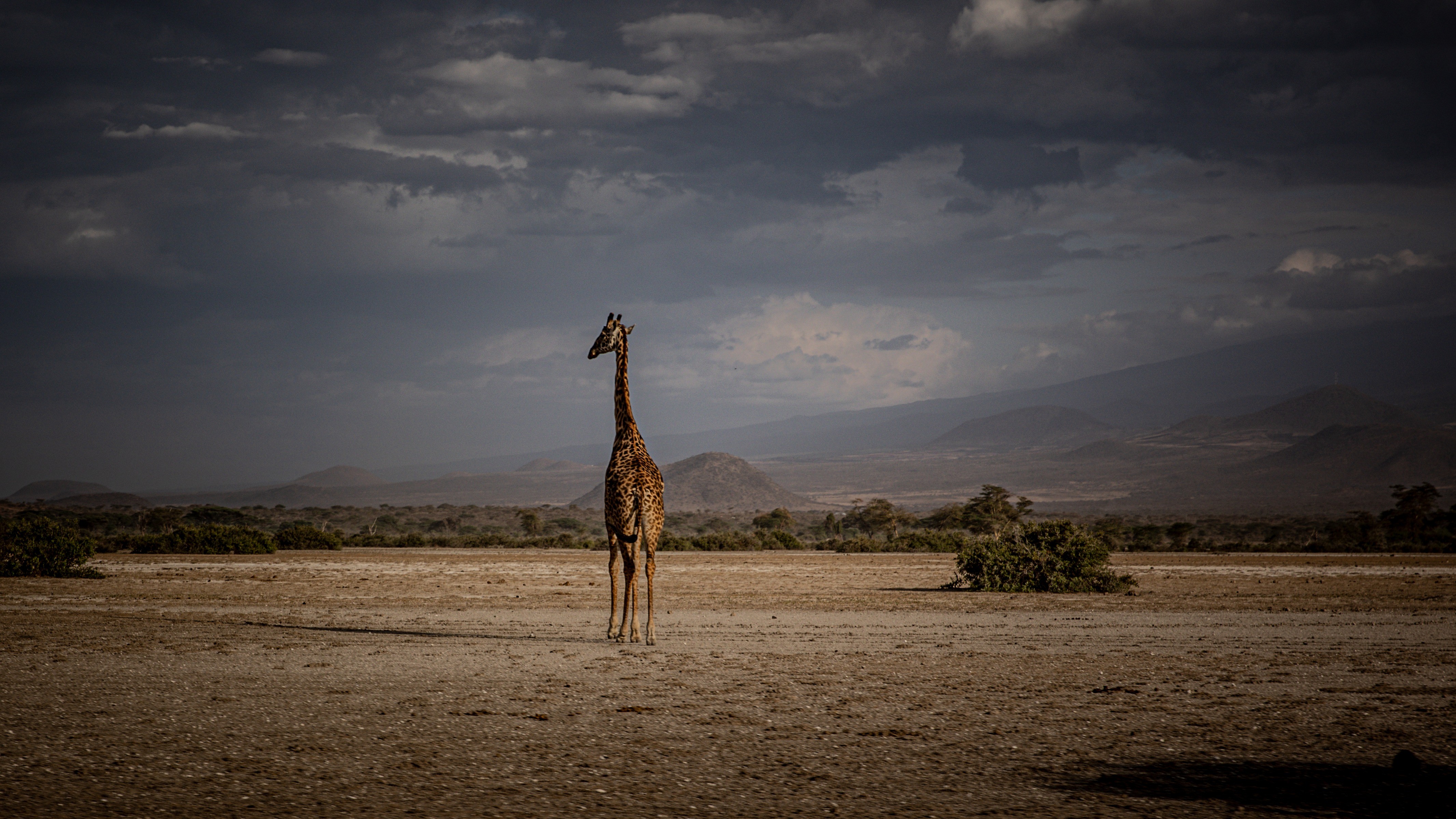 Fietsers in Tanzanina