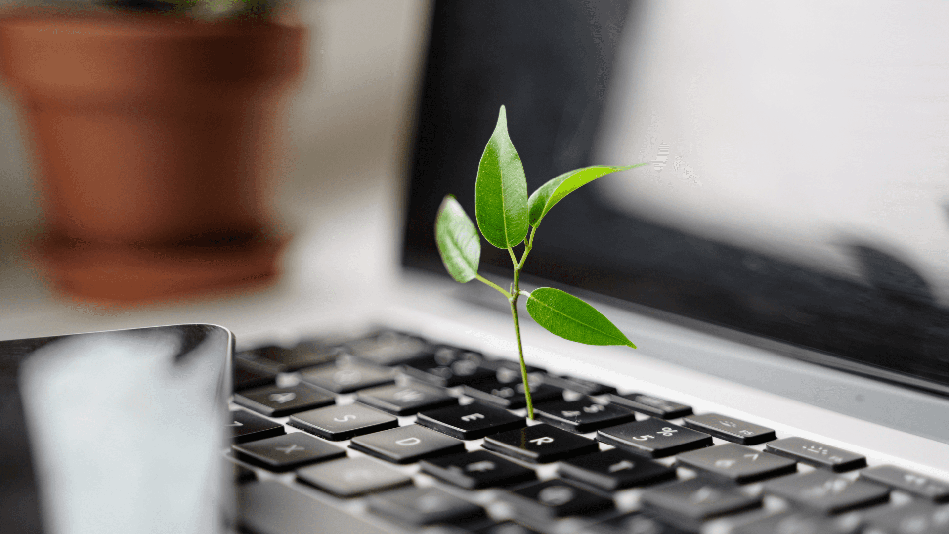 A close up shot of a laptop which appears to have a small plant growing out of it