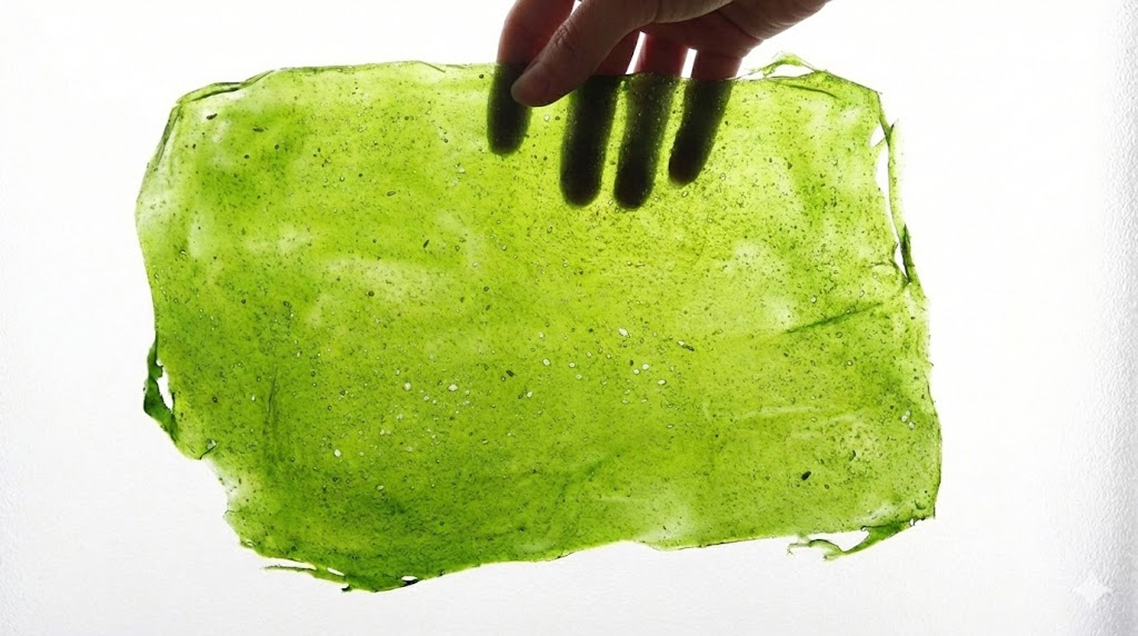 Bioplastic: Sustainable alternative to traditional plastic