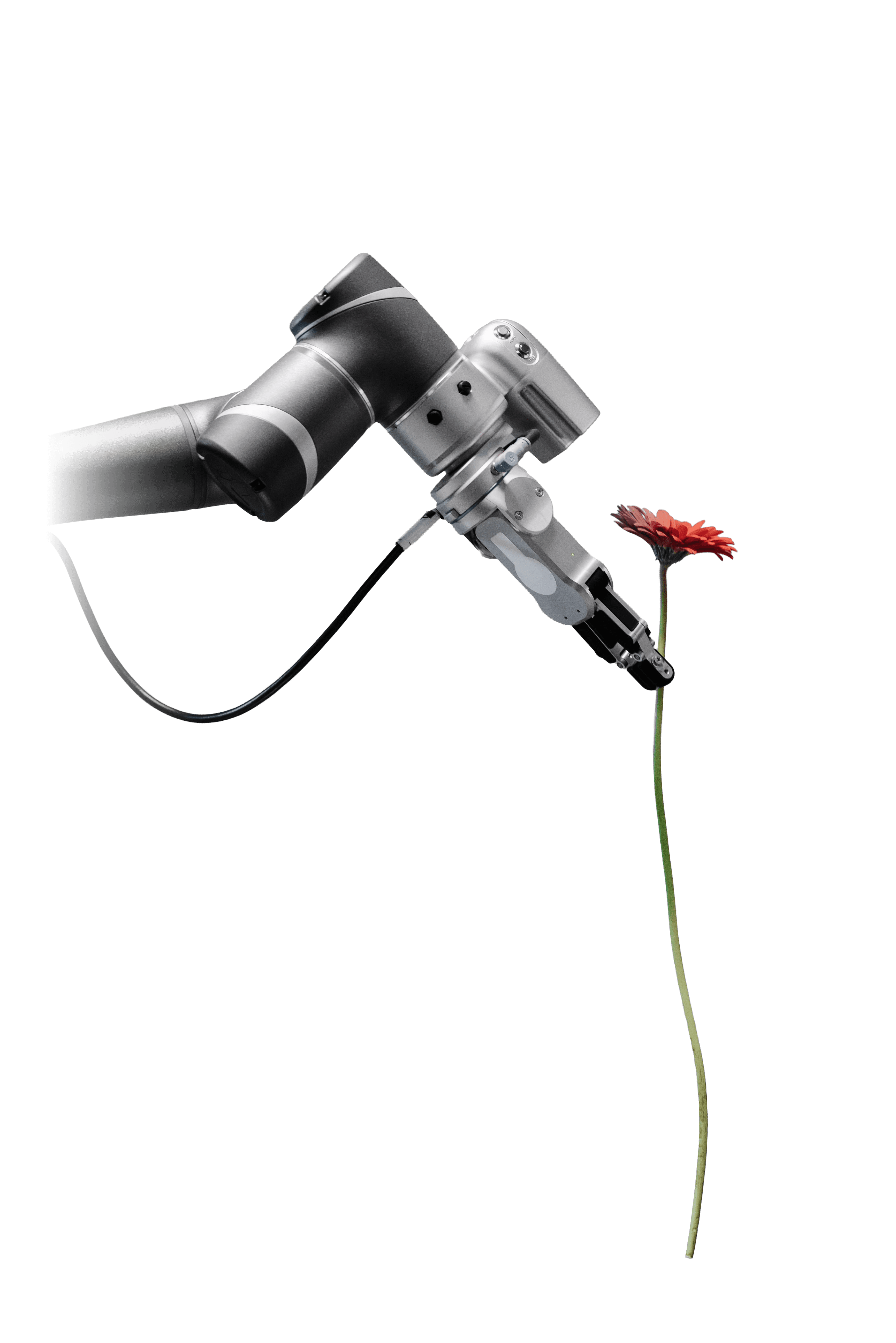 a black man wearing a headphone, side view